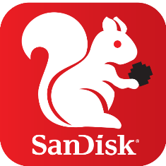 Sandisk